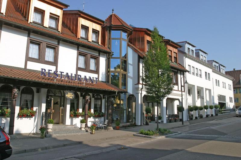Hotel and Restaurant Goldener Pfug - Genel