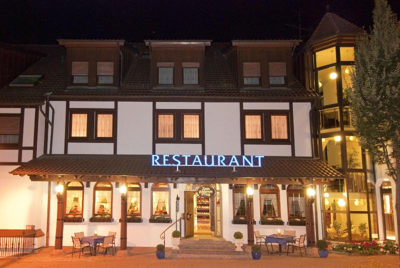 Hotel and Restaurant Goldener Pfug - Genel