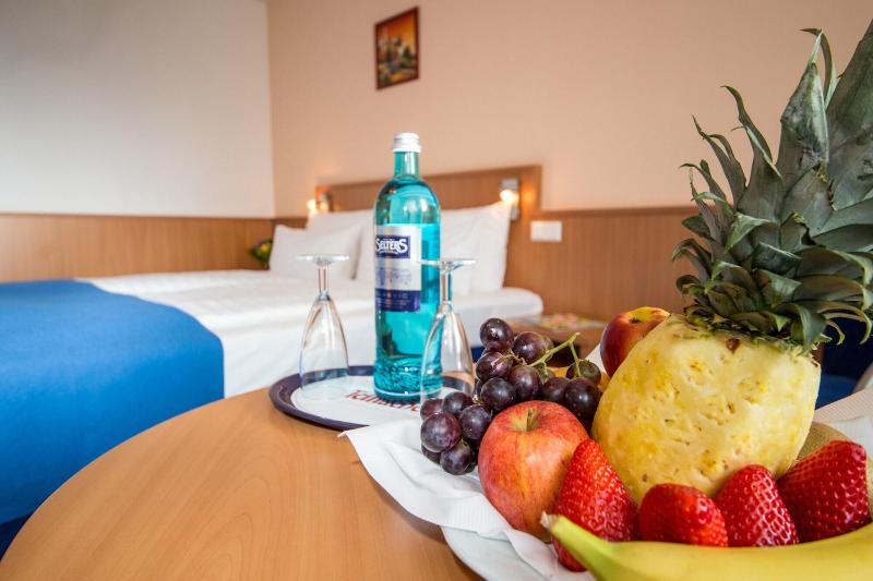 Hotel and Restaurant Goldener Pfug - Oda