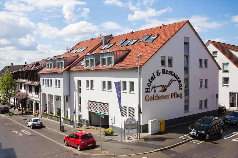 Hotel and Restaurant Goldener Pfug - Oda
