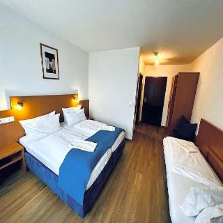 Hotel and Restaurant Goldener Pfug fotoÄŸrafÄ±