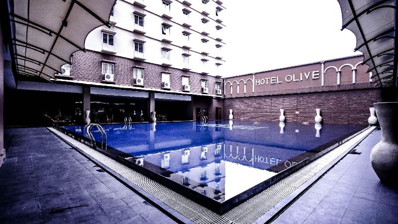 Olive - Lobi