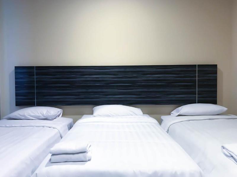 Olive - Genel