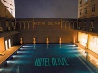 Olive fotoÄŸrafÄ±