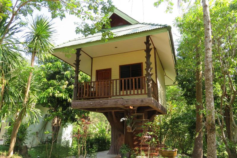 Macura Resort - Genel