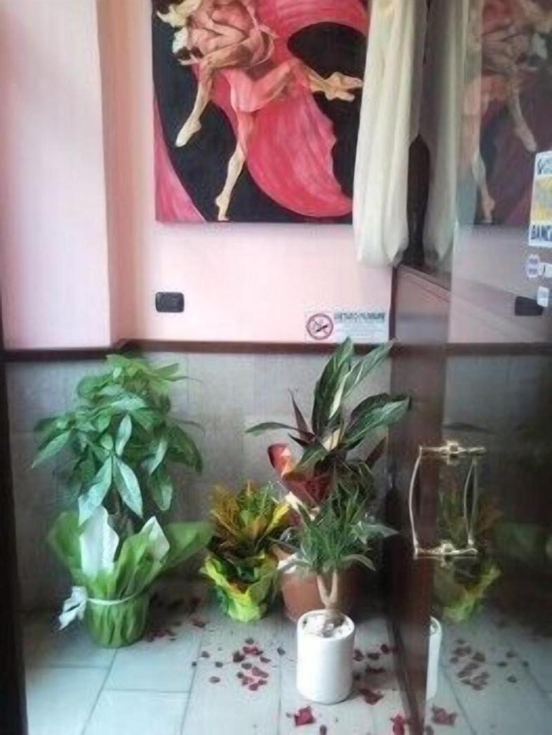 Albergo Al Viale - Bar