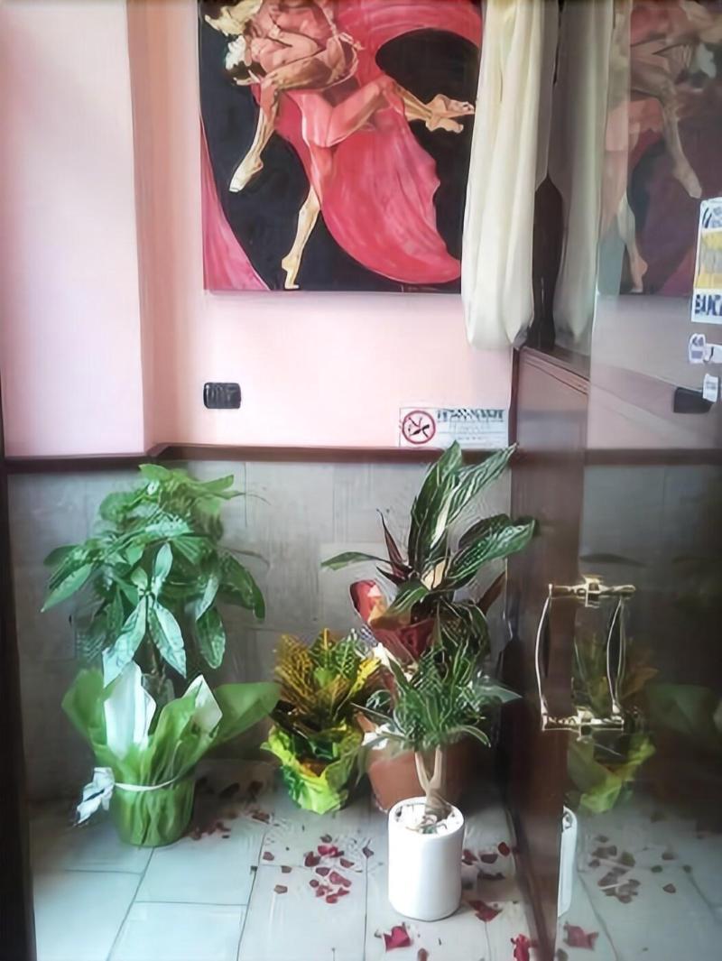 Albergo Al Viale - Lobi