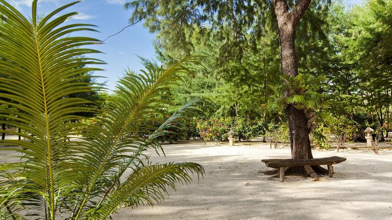 Pearl Of Trawangan Resort - Genel