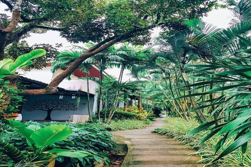 The Fong Krabi Resort - Genel