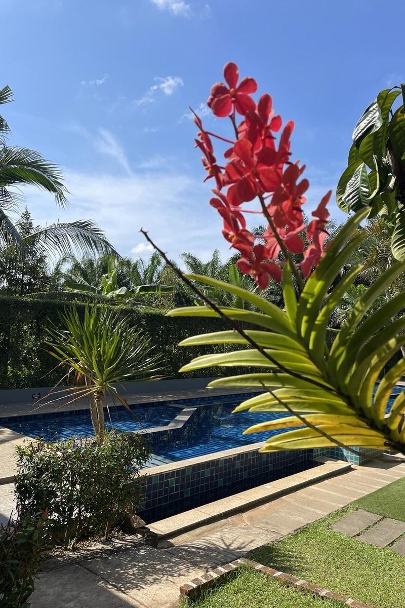 The Fong Krabi Resort - Genel