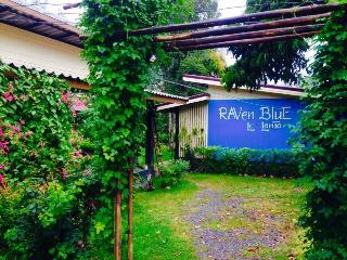Raven Blue otel fotoğrafı