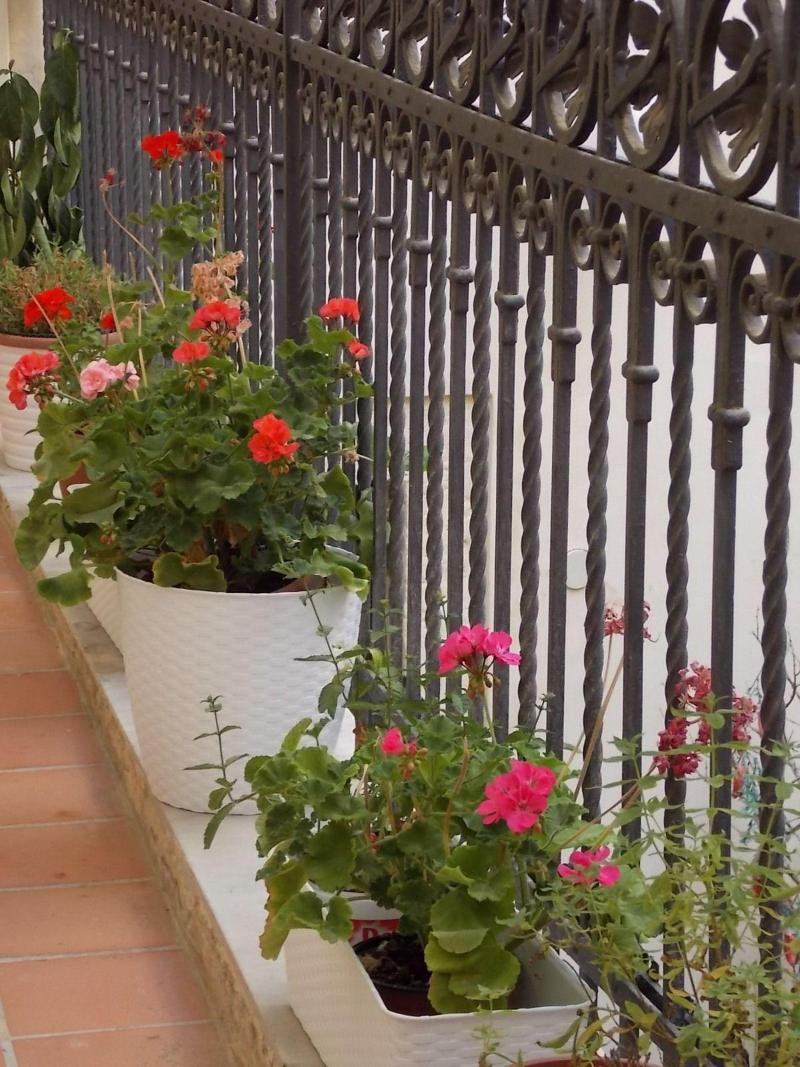 B B Casa D Alleri - Teras