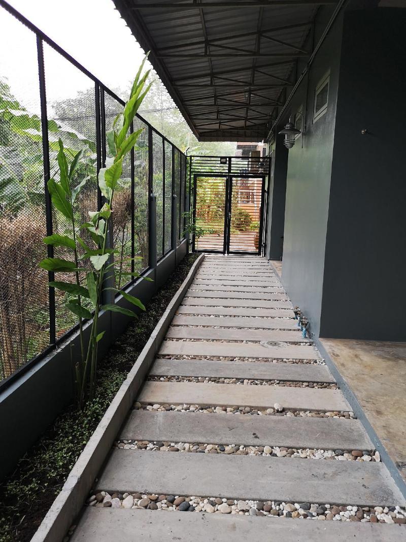 Siri Guesthouse - Genel
