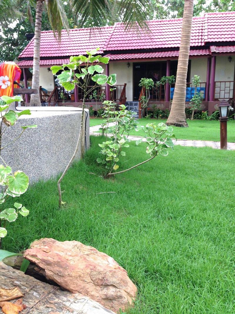Noble House Beach Resort - Genel