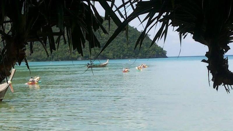Phi Phi Green House - Genel