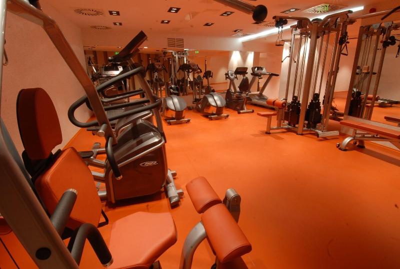Divinus - Aktivite