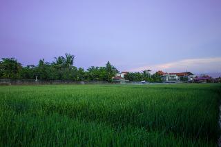 The Awandari Villas Seminyak otel fotoğrafı