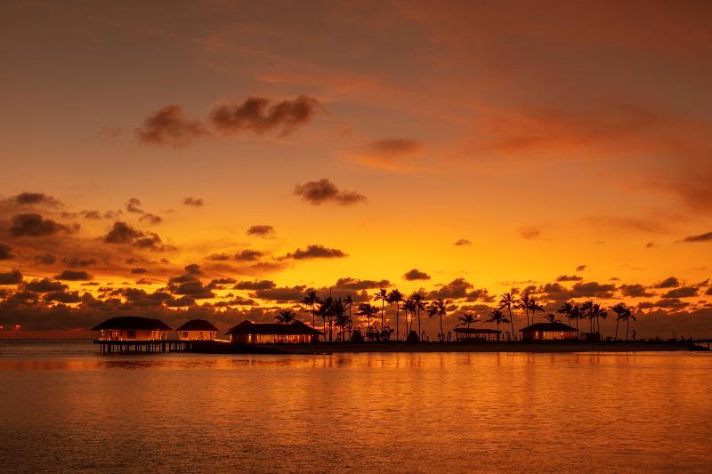 Radisson Blu Resort Maldives - Aktivite