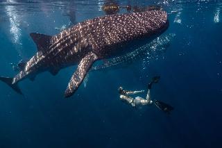 Radisson Blu Resort Maldives fotoÄŸrafÄ±
