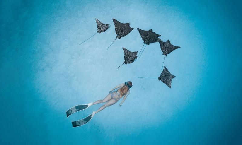 Radisson Blu Resort Maldives - Genel