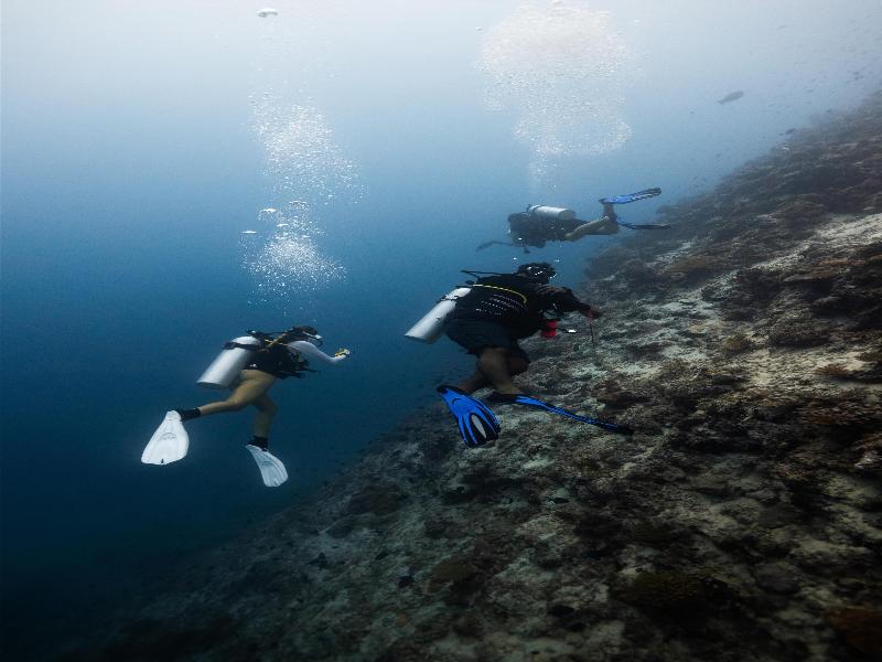 Radisson Blu Resort Maldives - Genel