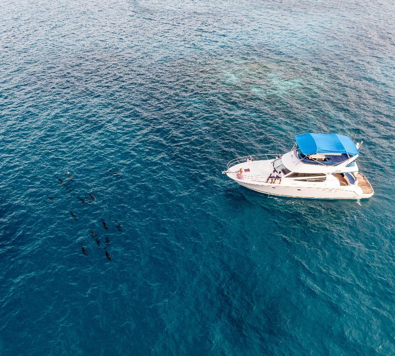 Radisson Blu Resort Maldives - Genel