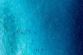Radisson Blu Resort Maldives fotoÄŸrafÄ±