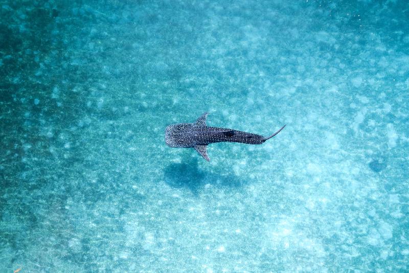 Radisson Blu Resort Maldives - Genel