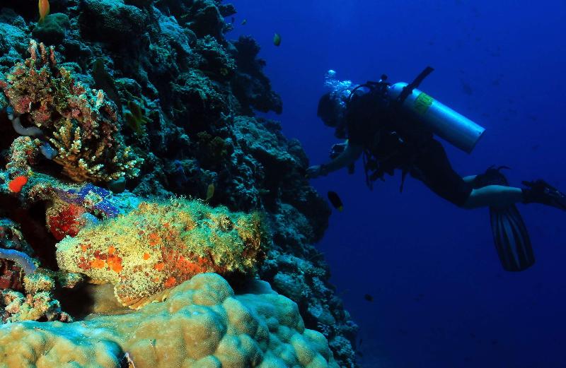 Radisson Blu Resort Maldives - Genel