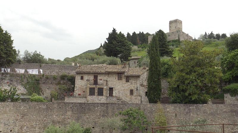IDEALE - Oda