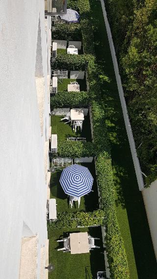 Le Palme fotoÄŸrafÄ±