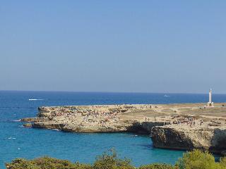 Oasis Park fotoÄŸrafÄ±