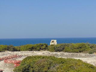 Oasis Park fotoÄŸrafÄ±