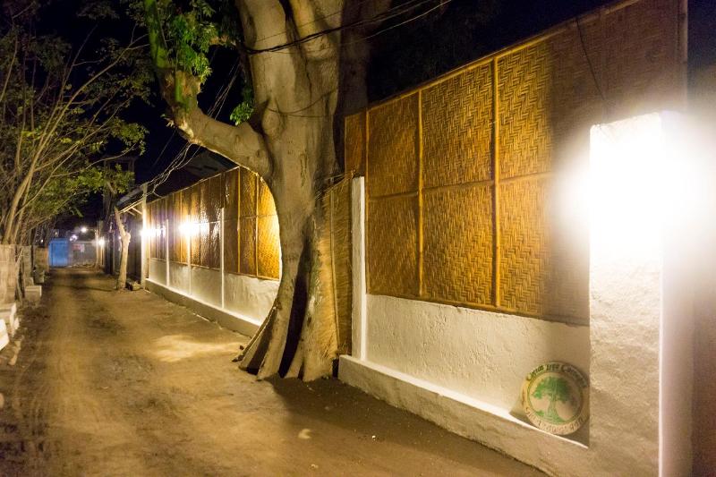 Cotton Tree Cottages - Genel