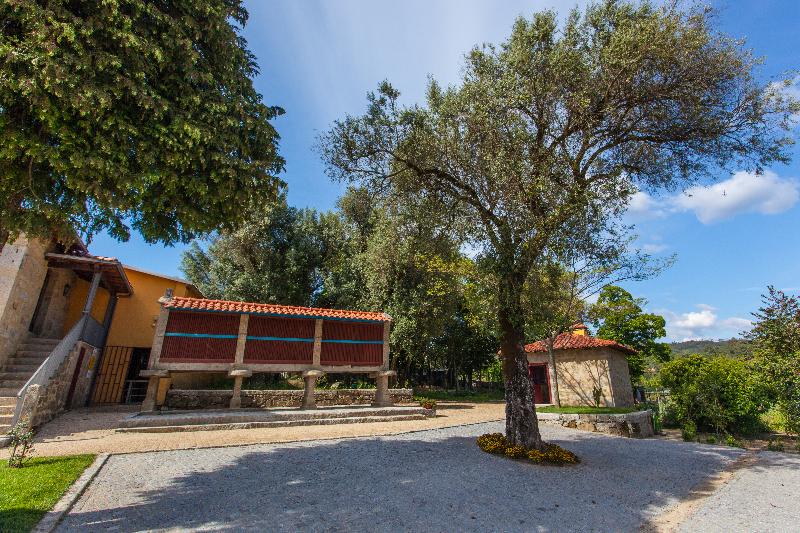 Casa Lata - Agroturismo E Enoturismo - Teras