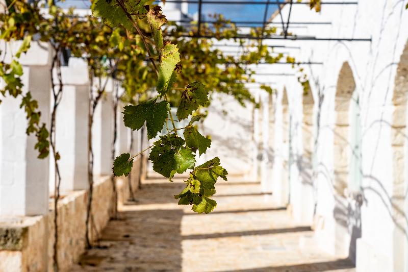 Masseria Ayroldi - Genel