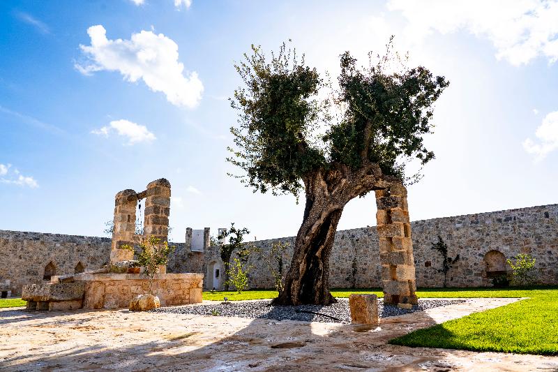 Masseria Ayroldi - Genel