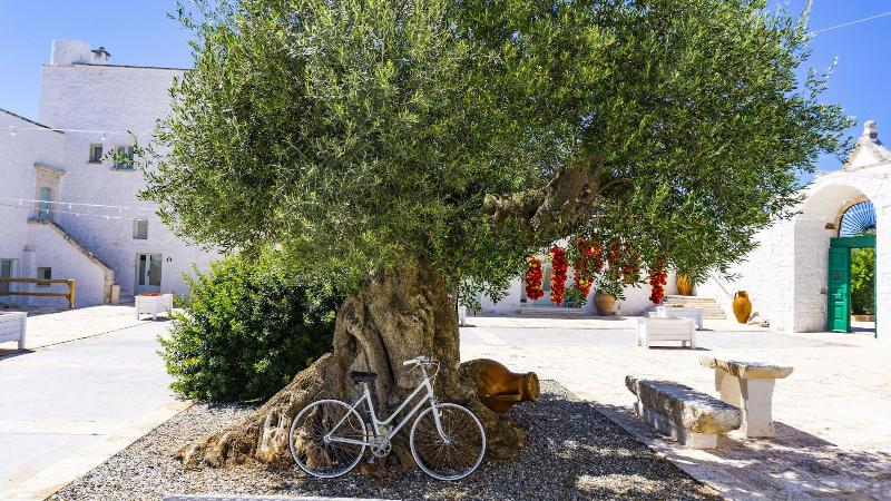 Masseria Ayroldi - Genel