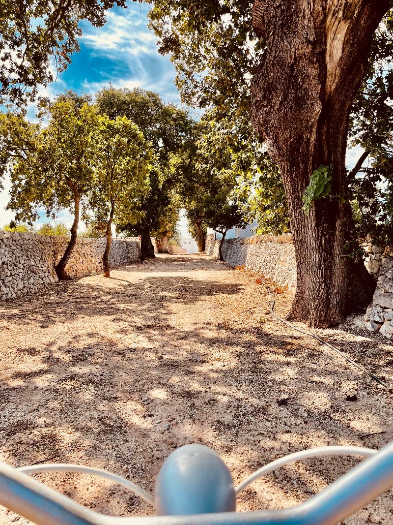Masseria Ayroldi - Genel