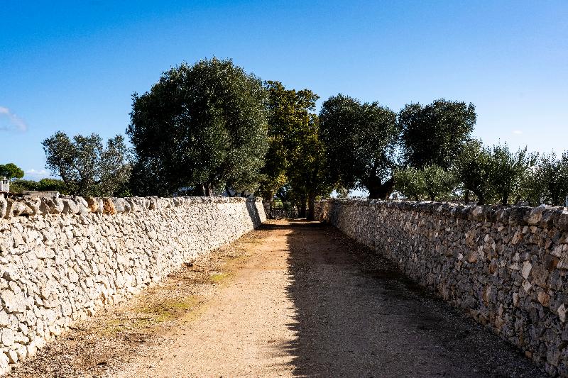 Masseria Ayroldi - Genel