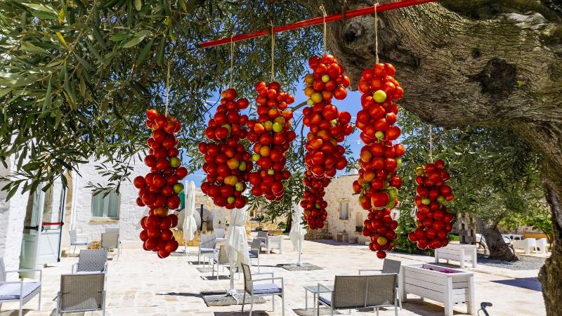 Masseria Ayroldi - Genel