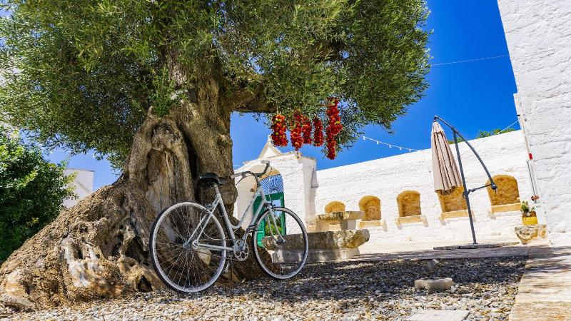 Masseria Ayroldi - Genel