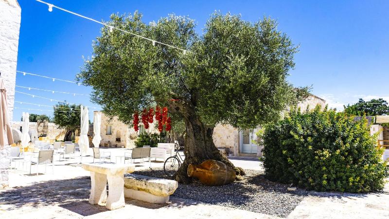 Masseria Ayroldi - Genel