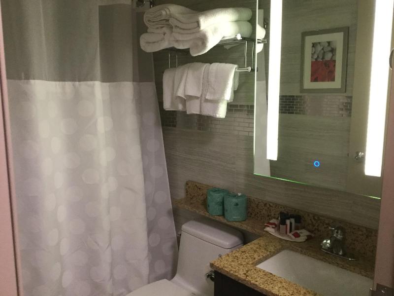 Ramada By Wyndham Bronx Terminal - Oda