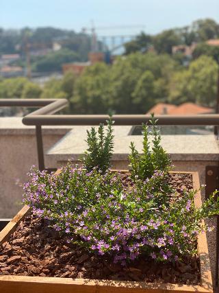 Vilar Oporto Hotel fotoÄŸrafÄ±