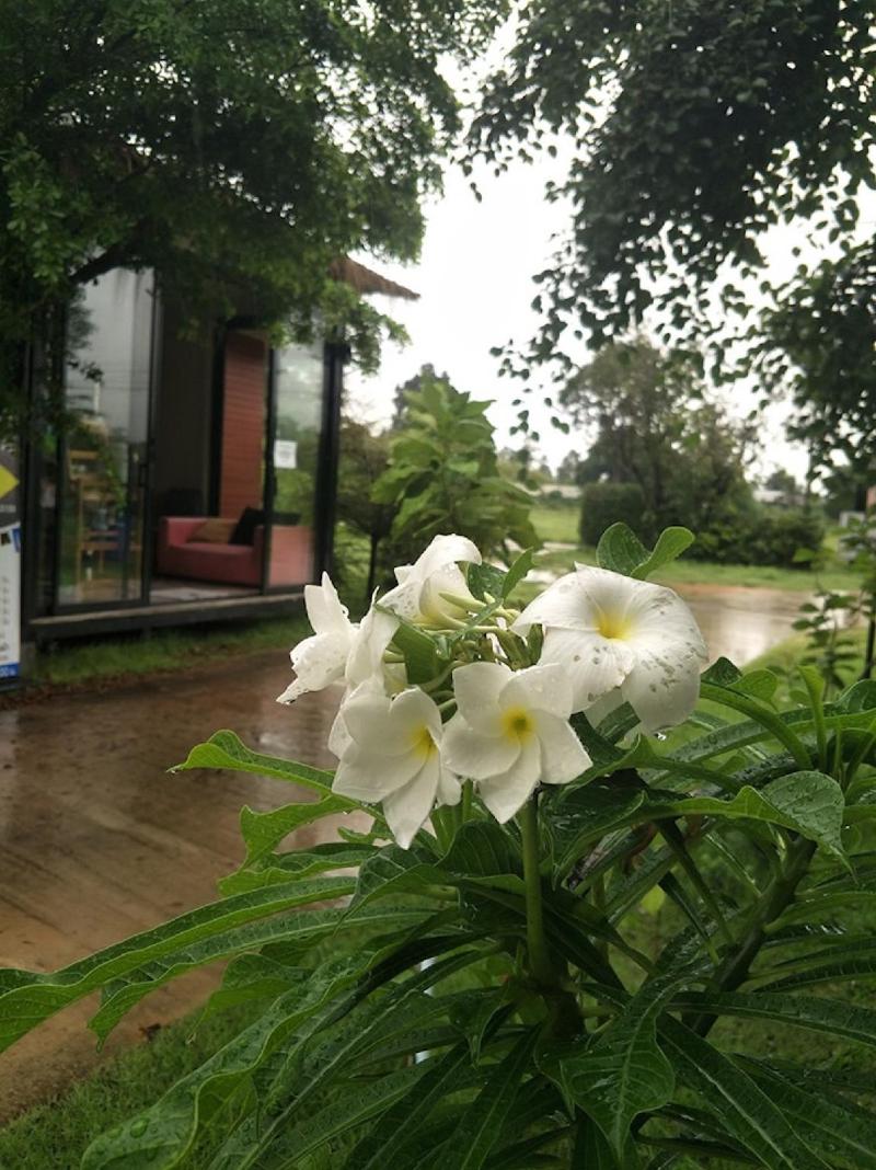 Suwi Coco Ville Resort - Lobi