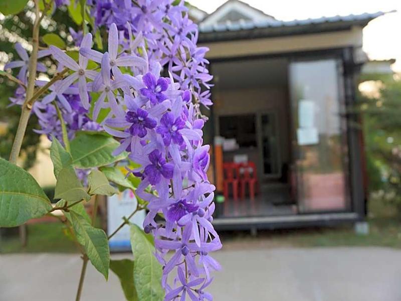 Suwi Coco Ville Resort - Genel