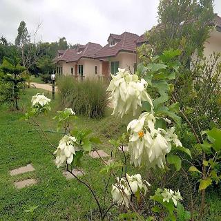 Suwi Coco Ville Resort fotoÄŸrafÄ±