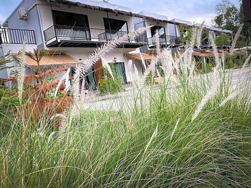 Suwi Coco Ville Resort - Oda