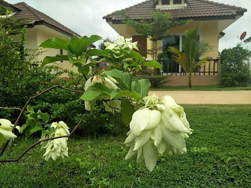 Suwi Coco Ville Resort - Oda